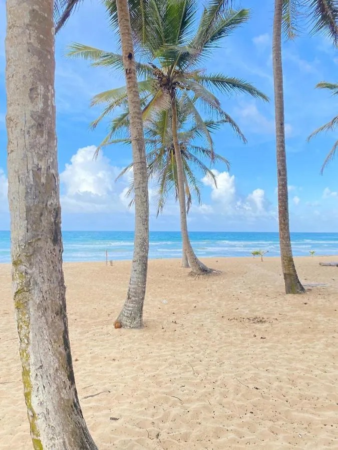 Apartment Uvero Tropical Beach Rental #1 Punta Cana Dominican Republic