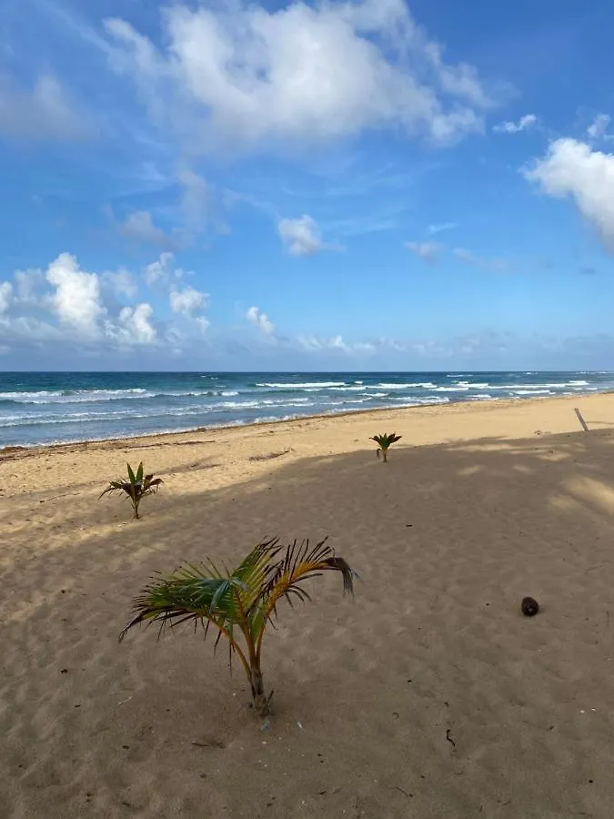 Uvero Tropical Beach Rental #1 Punta Cana 0*,