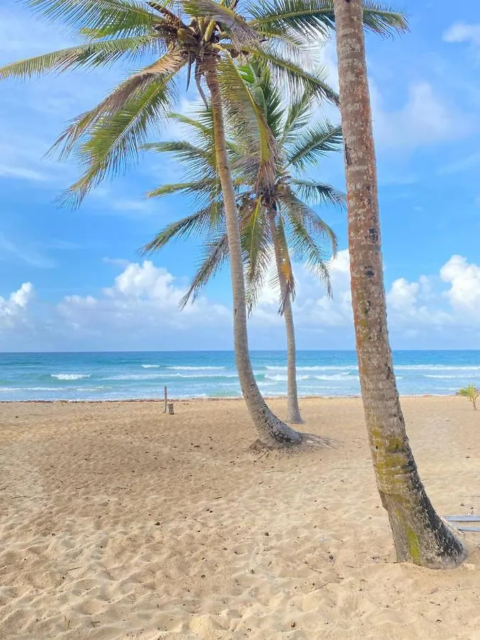 Uvero Tropical Beach Rental #1 Punta Cana Apartment