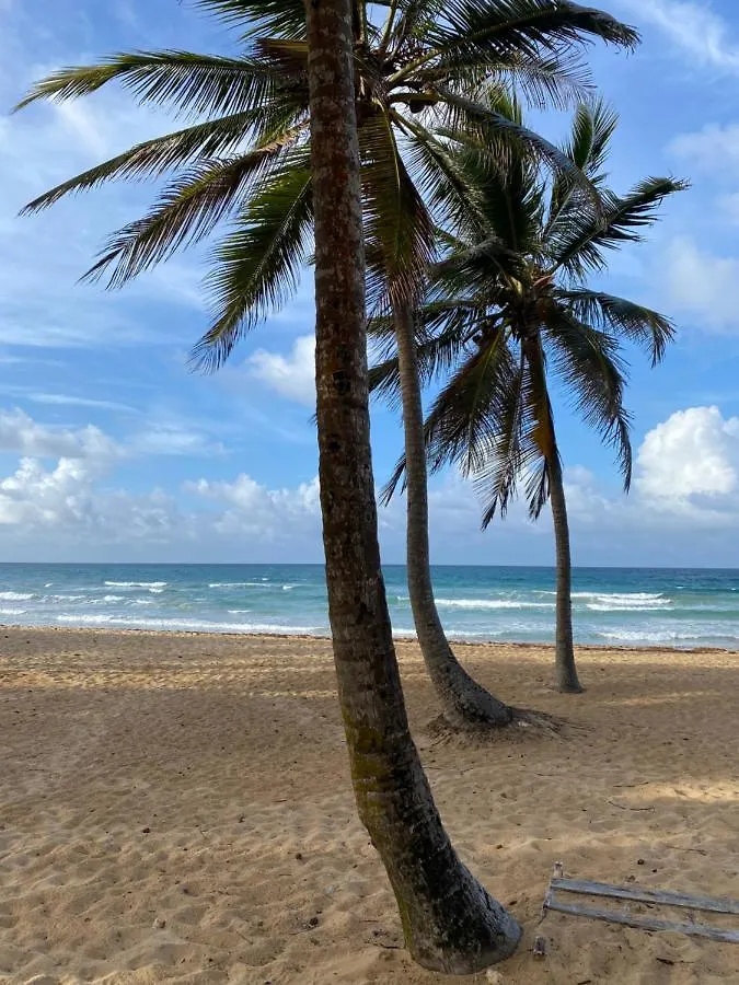 Uvero Tropical Beach Rental #1 Punta Cana