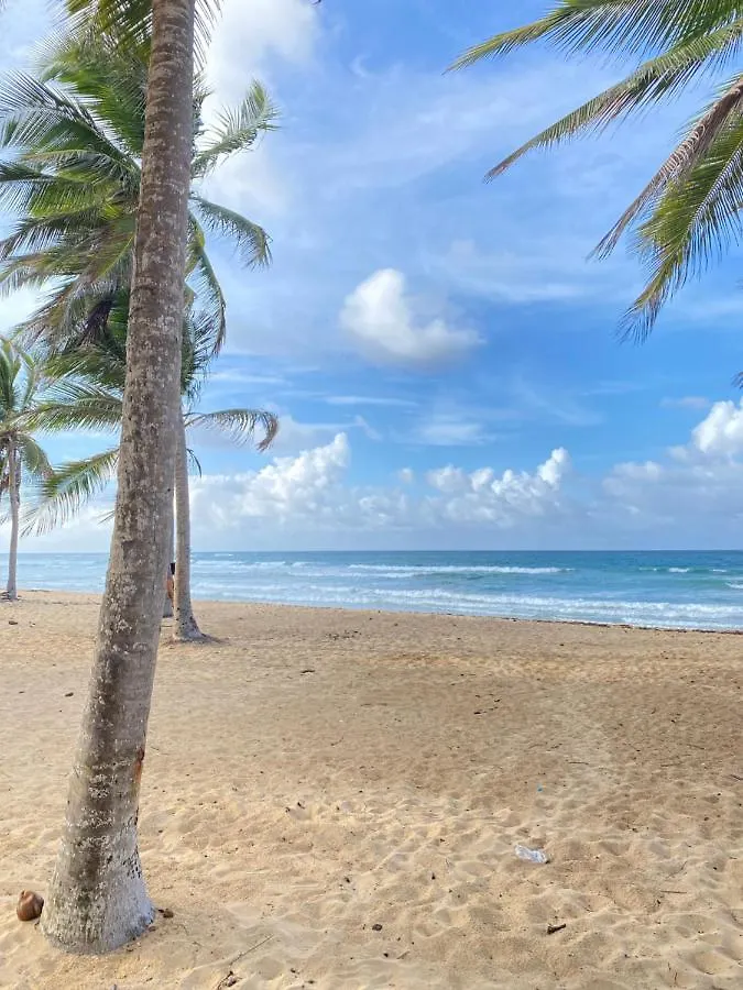 Uvero Tropical Beach Rental #1 Punta Cana